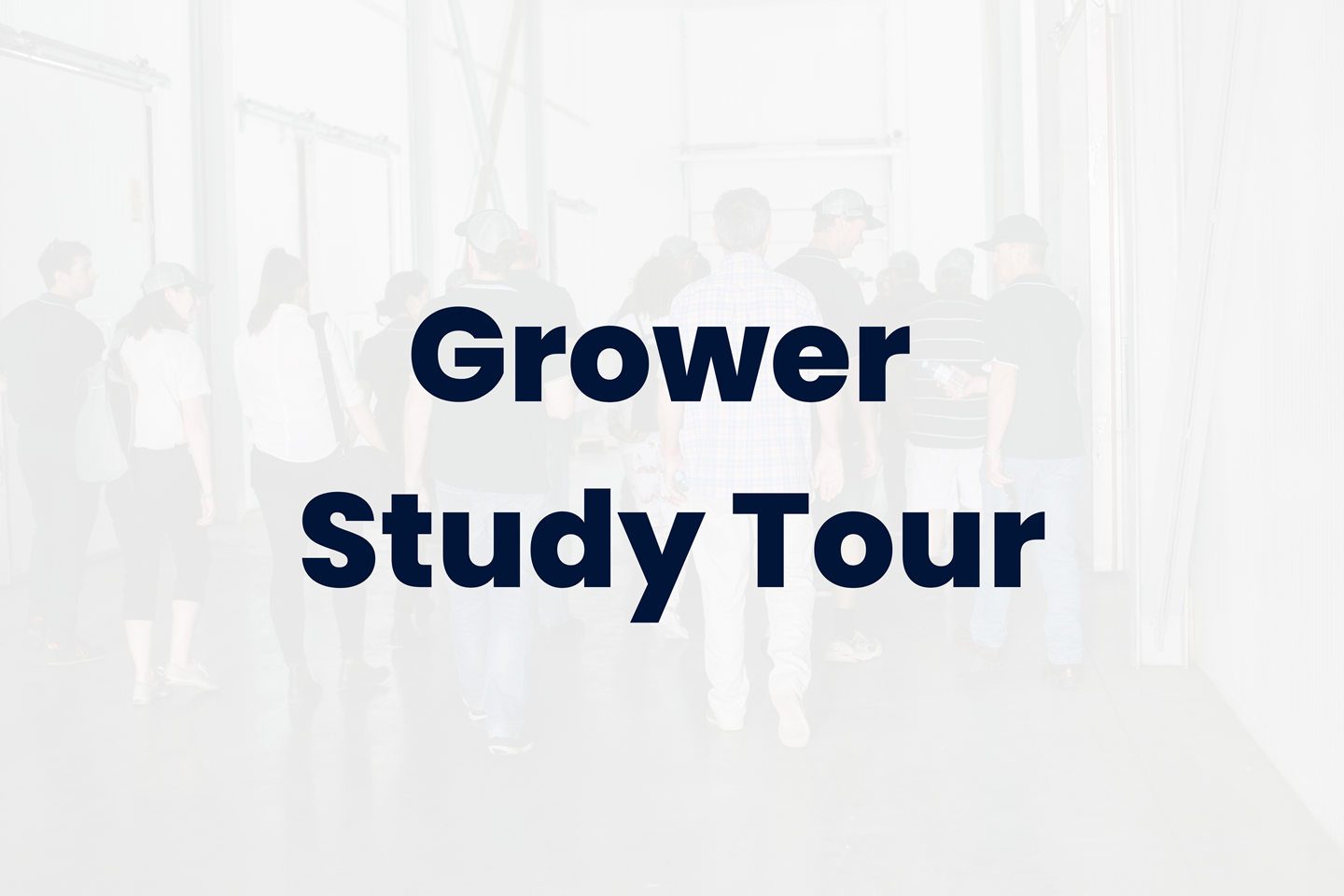 Grower Study Tour text