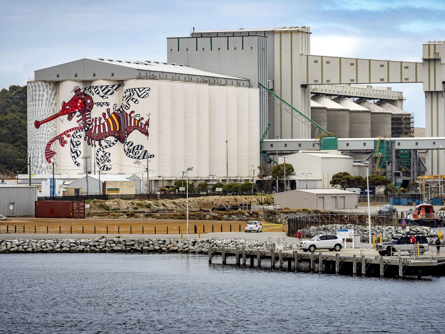 Albany Grain Terminal silos featuring a seadragon mural on the side. Photo by Bewley Shaylor