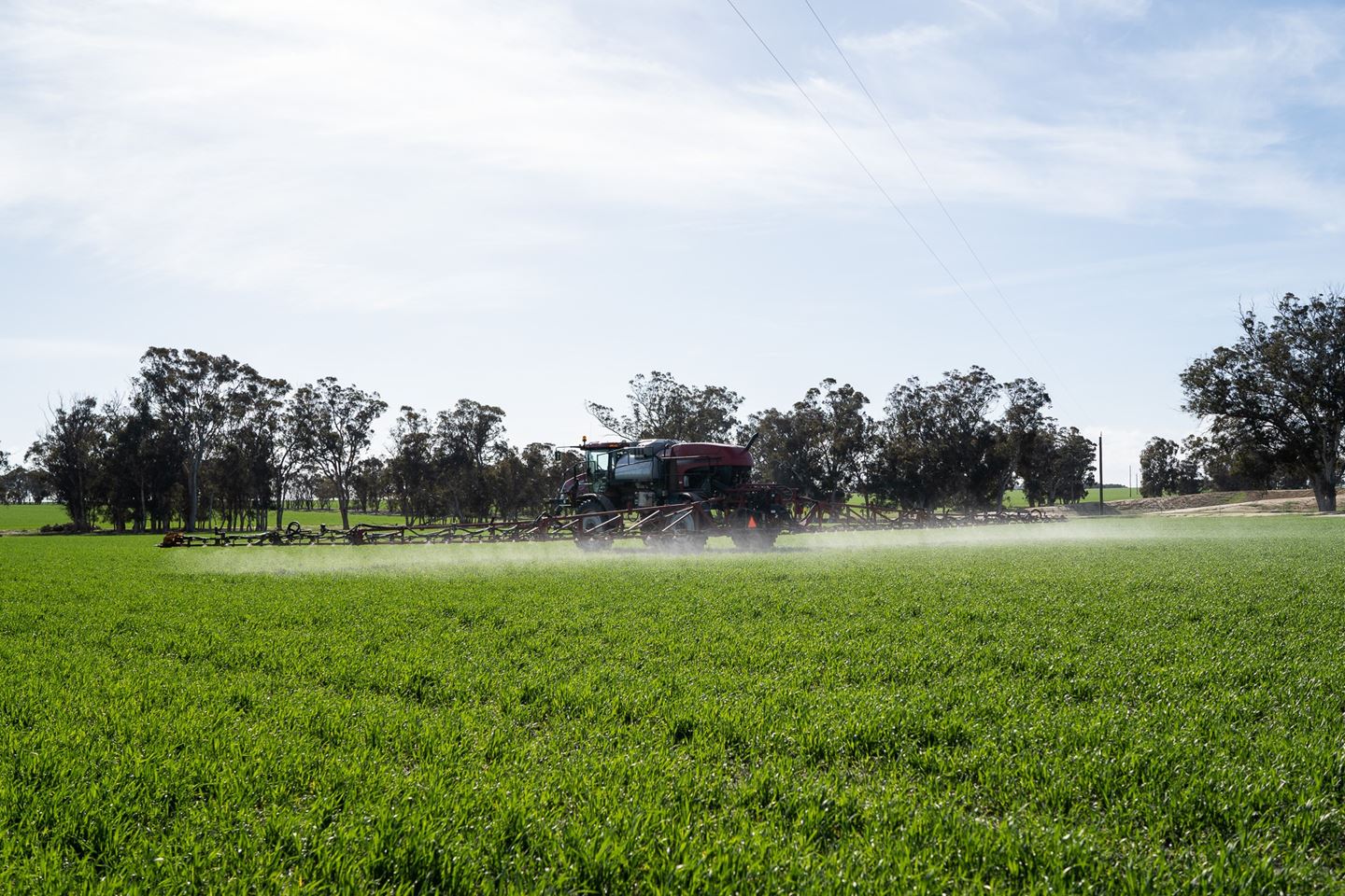 A red sprayer moving through a green paddock