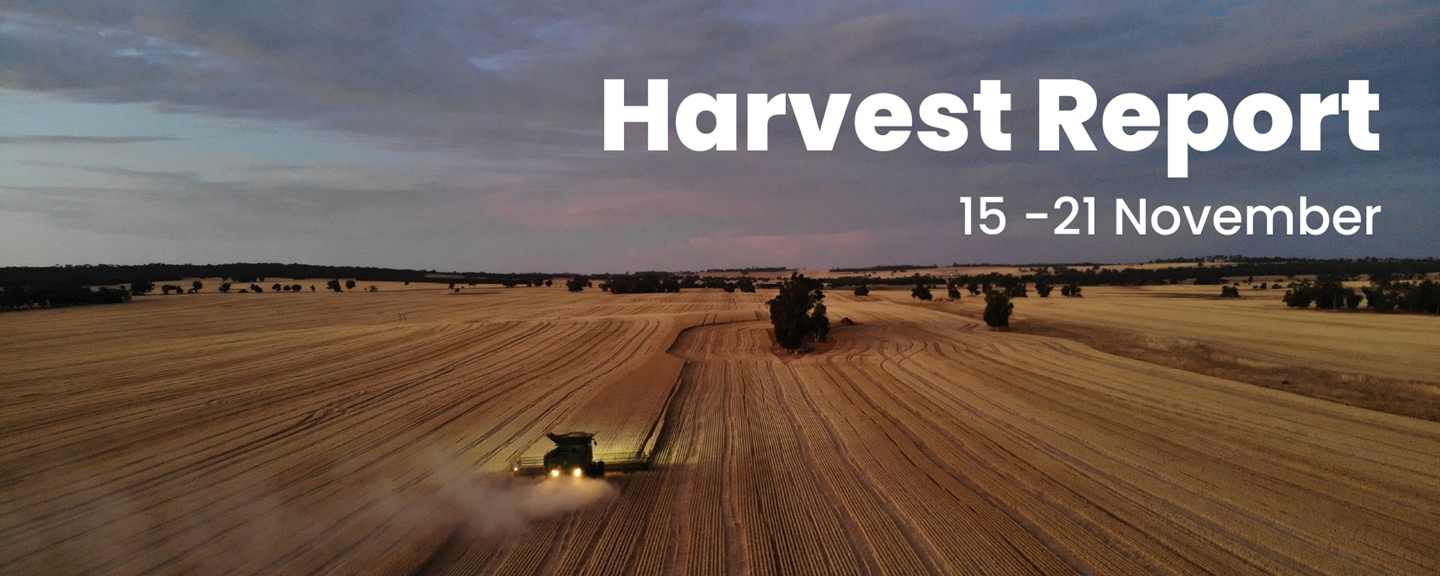 CBH Harvest Report - 21 November 2022