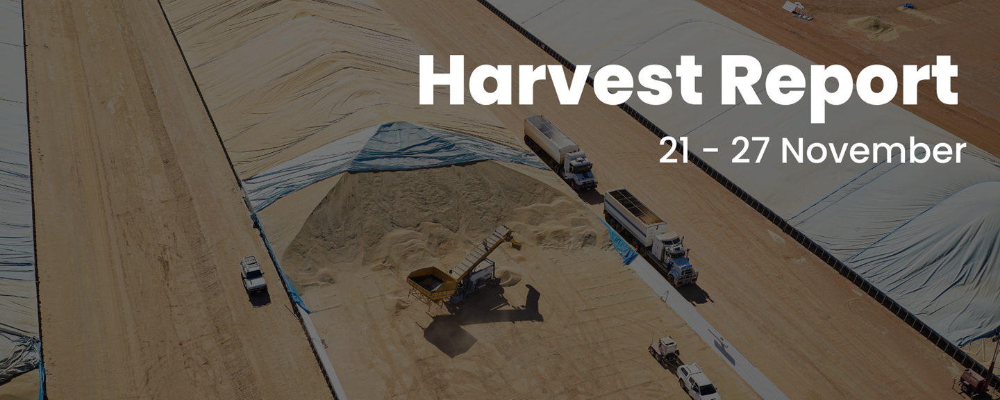 CBH Harvest Report - 28 November 2022