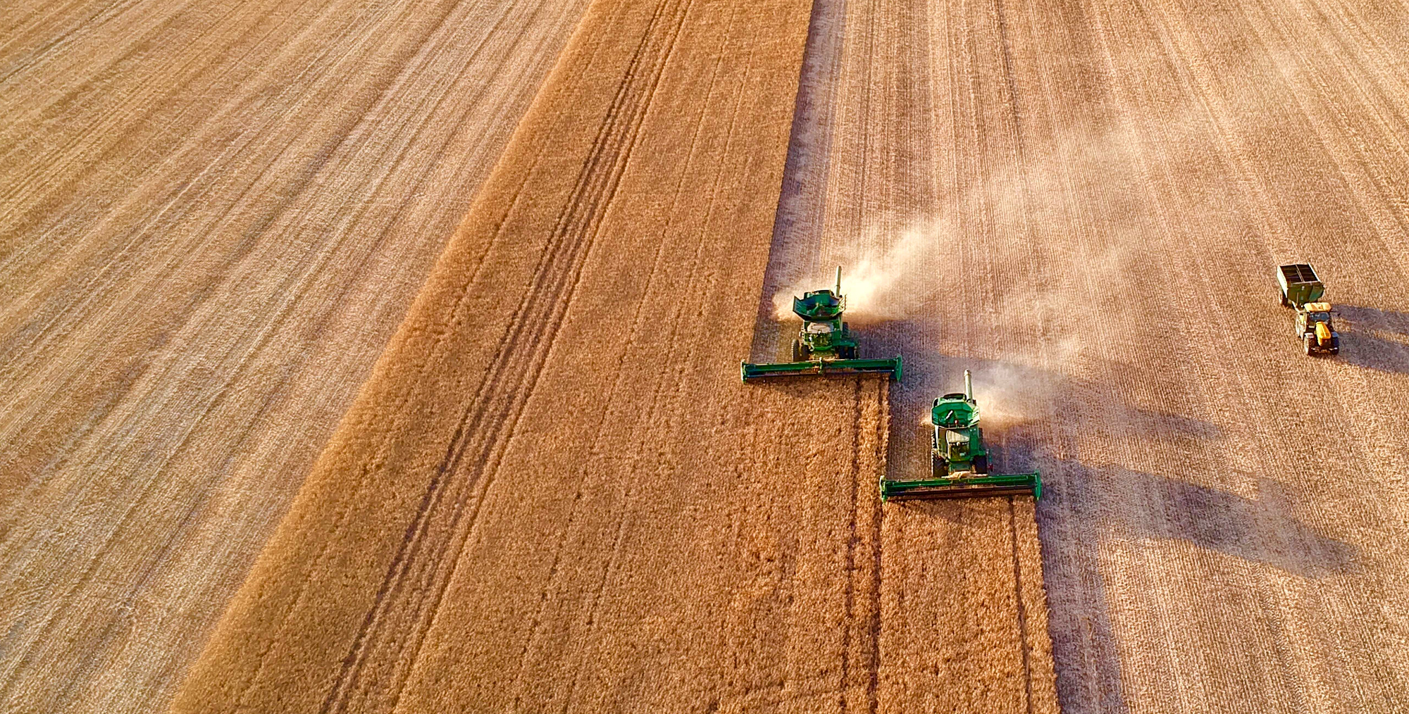 Harvest on the farm