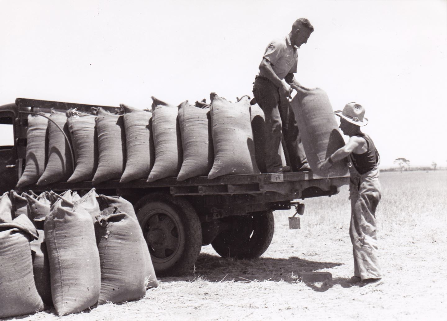 Black and white image showing two men unloading grain bags from a truck