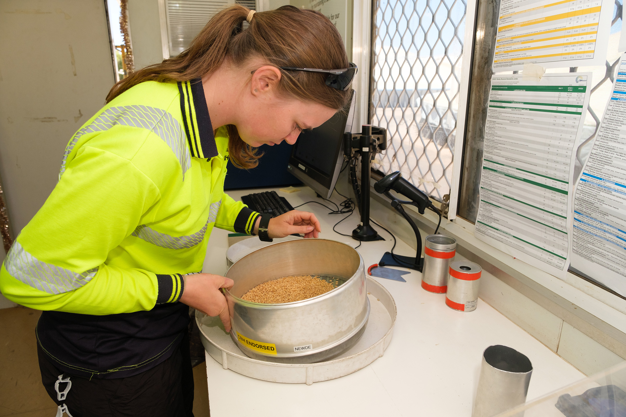 A girl leans over a silver bucket full of grain inspecting it